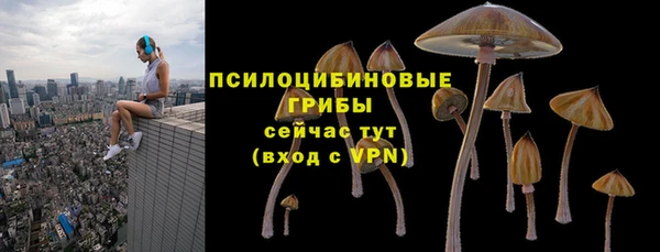 синтетический гашиш Алексин