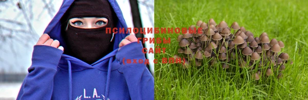 марихуана Абаза